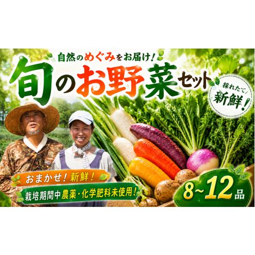 ふるさと納税 セット・詰合せ 千葉県 香取市 野菜セット 8~12品種 野菜 セット やさい やさいセット 詰め合わせ 詰合せ 野菜詰め合わせ 野菜詰合せ おやさい …