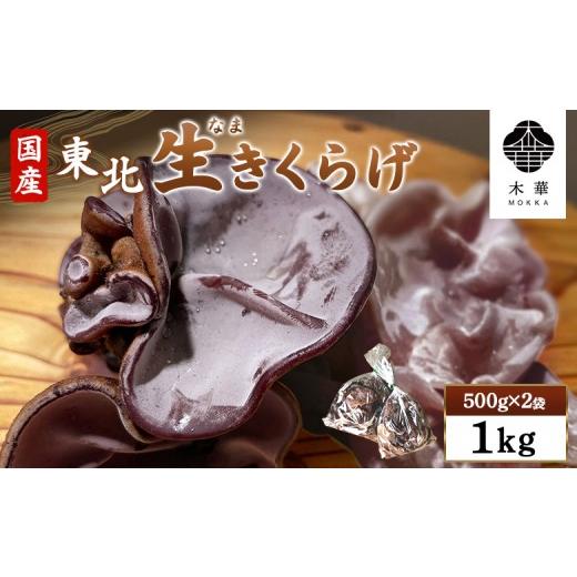 ふるさと納税 山菜・きのこ 宮城県 白石市 [国産]東北きくらげ 木華(もっか) 1kg (500g×2袋) | きのこ 国産きくらげ 生きくらげ 食物繊維 カルシウム ビタ…