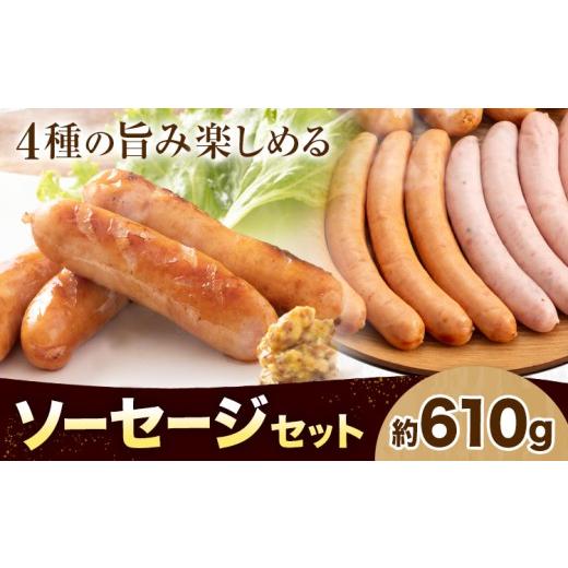 ふるさと納税 肉 ソーセージ 北海道 本別町 ソーセージセット 約610g 株式会社 大作[60日以内に出荷予定(土日祝除く)] 北海道 本別町 送料無料 ウインナー …