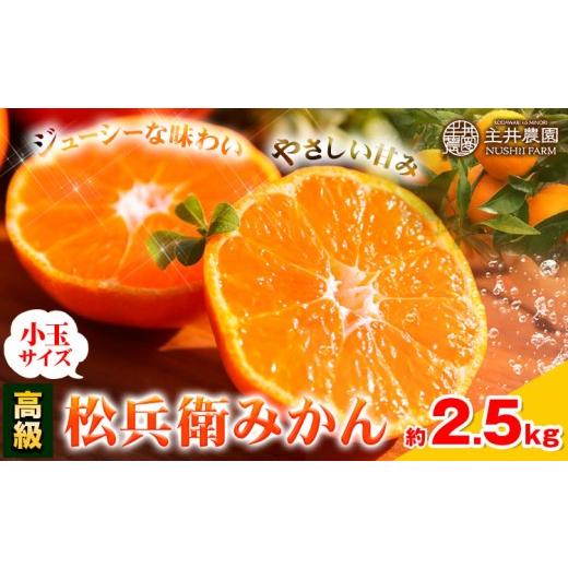 ふるさと納税 果物類 みかん 和歌山県 日高町 先行予約 大人気 主井農園の高級松兵衛みかん 小玉サイズ 約2.5kg[10月下旬-1月上旬頃出荷]主井農園 和歌山 …