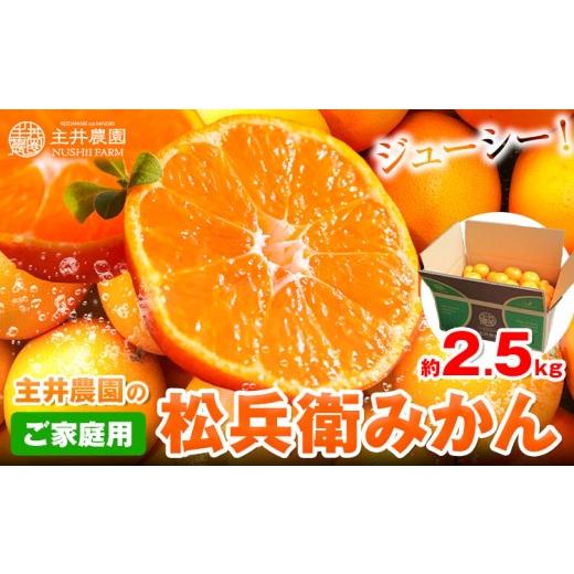 ふるさと納税 果物類 みかん 和歌山県 日高町 先行予約 主井農園の松兵衛みかん ご家庭用 約2.5kg[11月中旬-1月上旬頃出荷]主井農園 みかん 和歌山県 日高…
