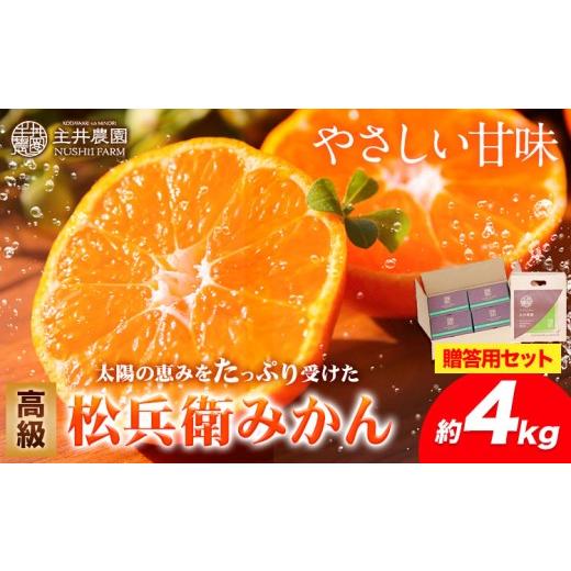 ふるさと納税 果物類 みかん 和歌山県 日高町 先行予約 主井農園の高級松兵衛みかん (贈答用)セット約1kg×4箱 手さげ紙袋付き[11月中旬-2月上旬頃出荷]主…