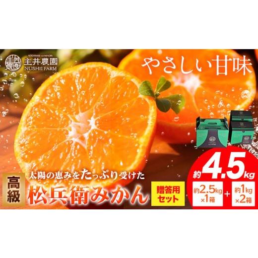 ふるさと納税 果物類 みかん 和歌山県 日高町 先行予約 主井農園の高級松兵衛みかん (贈答用)セット 約2.5kg×1箱 約1kg×2箱[11月中旬-2月上旬頃出荷]主井…