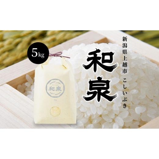 ふるさと納税 米 新潟県 上越市 先行予約 新米 令和8年 新潟県 上越産 こしいぶき 5kg 5キロ 和泉 ワイズファーム 上越市 精米 米 ギフト 喜ばれる