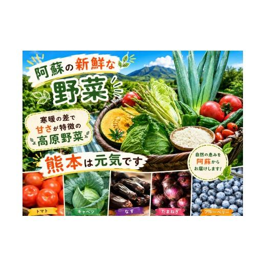 ふるさと納税 セット・詰合せ 熊本県 阿蘇市 阿蘇 郷乃舎 阿蘇高原 農家直送こだわり野菜 お野菜 6~8品 野菜ソムリエ上級プロ厳選 郷乃舎 新鮮 お野菜 産地直…