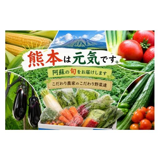 ふるさと納税 セット・詰合せ 熊本県 阿蘇市 阿蘇 郷乃舎 阿蘇高原 農家直送こだわり野菜と阿蘇特産品セット お野菜8~10品 +ASOMILK のむヨーグルト 野菜ソ…