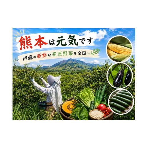 ふるさと納税 セット・詰合せ 熊本県 阿蘇市 定期便全3回 阿蘇 郷乃舎 阿蘇高原 農家直送こだわり野菜 お野菜 6~8品 定期便全3回 野菜ソムリエ上級プロ厳選 …