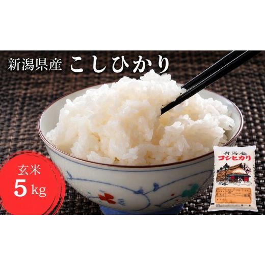 ふるさと納税 玄米 新潟県 見附市 令和8年産 新米 新潟県 こしひかり 玄米 5kg 特別栽培米 減農薬 玄米5kg