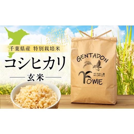 ふるさと納税 玄米 千葉県 長生村 AB1-004 特別栽培米 コシヒカリ(玄米)5kg 5kg