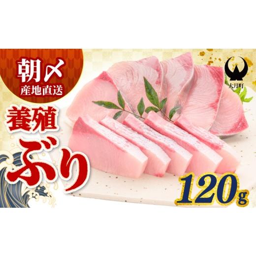 ふるさと納税 旬の鮮魚等 高知県 大月町 ぶり 120g 養殖 冷蔵 刺身 ブリ 鰤 お刺身 たたき 照り焼き ぶり大根 ぶりしゃぶ ブリトロ 生食 海鮮丼 海鮮 旬 ブロ…