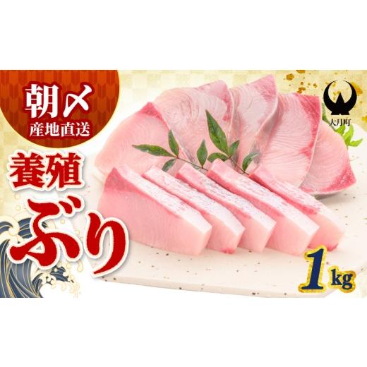 ふるさと納税 旬の鮮魚等 高知県 大月町 ぶり 1kg 冷蔵 養殖 冷蔵 刺身 ブリ 鰤 お刺身 たたき 照り焼き ぶり大根 ぶりしゃぶ ブリトロ 生食 海鮮丼 海鮮 旬 …
