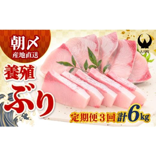 ふるさと納税 旬の鮮魚等 高知県 大月町 定期便 ぶり 2kg × 3回 養殖 冷蔵 刺身 ブリ 鰤 お刺身 たたき 照り焼き ぶり大根 ぶりしゃぶ ブリトロ 生食 海鮮丼…