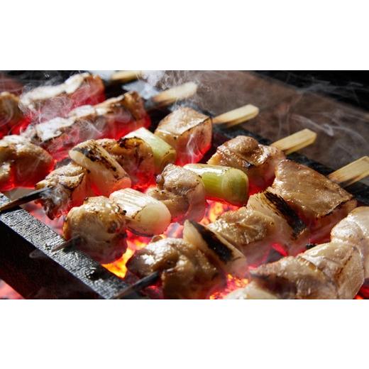 ふるさと納税 鶏肉 焼き鳥 京都府 京丹後市 数量限定200 絶品 希少品種 京丹後産 京地どり 焼き鳥5種盛り合わせ 20本&絶品手羽先・手羽元 各2個