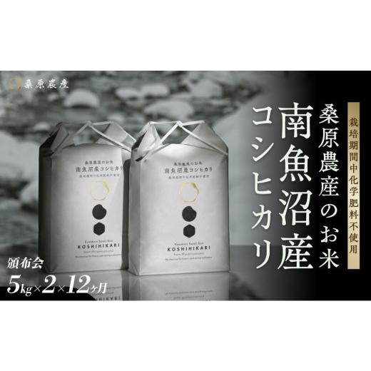 ふるさと納税 米 コシヒカリ 新潟県 南魚沼市 令和8年産新米予約 頒布会 最優秀賞受賞 減農薬 最高峰南魚沼産こしひかり5kg×2 12ヶ月 桑原農産のお米(精米…