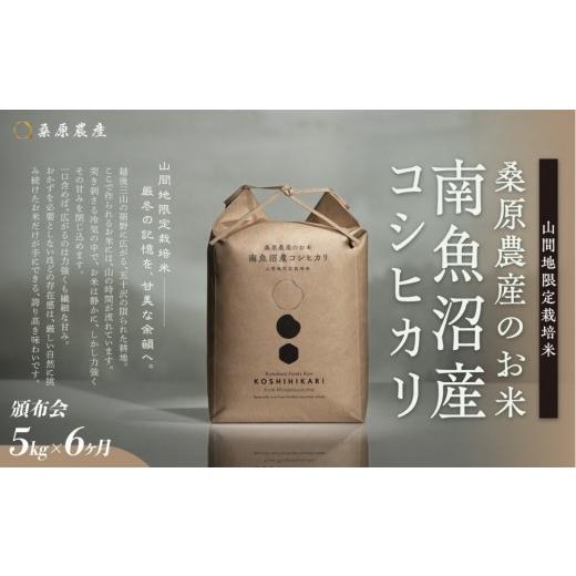 ふるさと納税 米 コシヒカリ 新潟県 南魚沼市 令和8年産新米予約 頒布会 日本のお米の最高峰 山間地米 南魚沼産コシヒカリ5kg 6カ月 桑原農産のお米(精米…