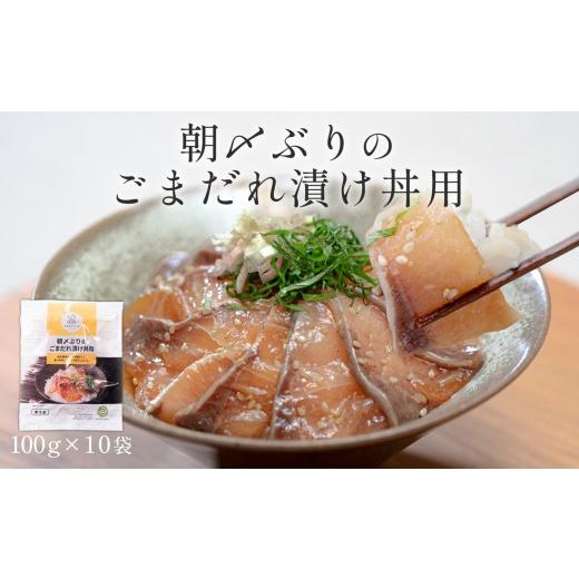 ふるさと納税 魚貝類 高知県 大月町 朝〆ぶり ごまだれ 漬け丼用 10袋 20食 (2食×10) 1袋あたり100g 養殖 ブリ 鰤 海鮮 小分け 冷凍 簡単調理 新鮮 海鮮丼 家…
