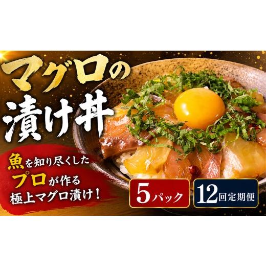 ふるさと納税 魚貝類 高知県 安芸市 12回定期便 マグロ 漬け丼 まぐろ漬け丼 80g×5P 12回 定期便 マグロ 高知 まぐろ 漬け丼 小分け 冷凍 キハダマグロ マグ…