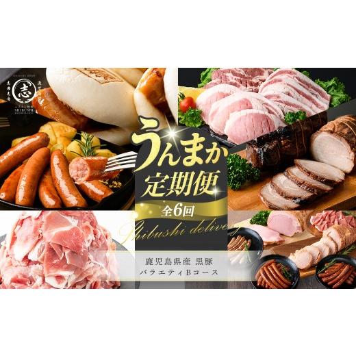 ふるさと納税 豚肉 セット 鹿児島県 志布志市 定期便全6回 鹿児島県産 黒豚バラエティBコース 志布志うんまか定期便 豚肉 黒豚 切り落とし ウィンナー ソーセ…