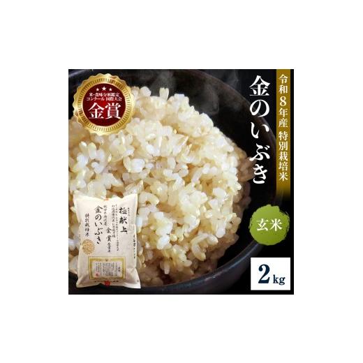 ふるさと納税 玄米 秋田県 湯沢市 令和8年産米 冷めても美味しい玄米 特別栽培米 金のいぶき 2kg 玄米 米 農家直送 受賞歴多数 ＼自然由来の漢方栽培/ ふるさ…