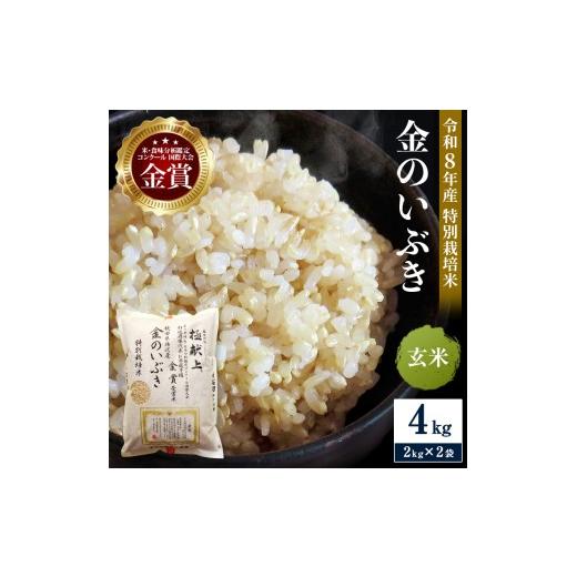 ふるさと納税 玄米 秋田県 湯沢市 令和8年産米 冷めても美味しい玄米 特別栽培米 金のいぶき 4kg(2kg×2袋)玄米 米 農家直送 受賞歴多数 ＼自然由来の漢方栽…