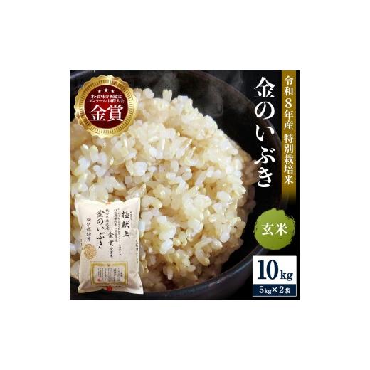 ふるさと納税 玄米 秋田県 湯沢市 令和8年産米 冷めても美味しい玄米 特別栽培米 金のいぶき 10kg(5kg×2袋)玄米 米 農家直送 受賞歴多数 ＼自然由来の漢方…