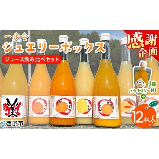 ふるさと納税 果汁飲料 みかん 愛媛県 西予市 感謝企画 一歩会 ジュエリーボックス ジュース飲み比べセット 720ml×12本入り 『1か月以内に順次出荷予定』果…