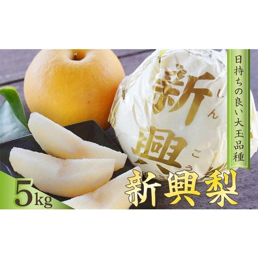 ふるさと納税 梨 京都府 京丹後市 梨 新興梨 約5kg(9〜14玉入り) 国産 期間限定 デザート 甘い ジューシー ふるさと 納税 梨 なし ナシ 5kg 先行予約 ふ…