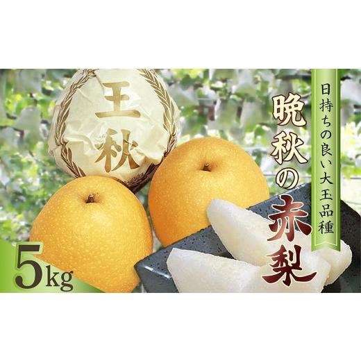 ふるさと納税 梨 京都府 京丹後市 梨 王秋 約5kg(7〜11玉入り) 国産 期間限定 デザート 甘い ジューシー ふるさと 納税 梨 なし ナシ 5kg 先行予約 ふる…