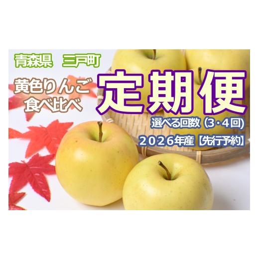 ふるさと納税 りんご 青森県 三戸町 黄色りんご食べ比べ定期便 黄色りんごリレー 4回 定期便 : トキ(5kg)・ぐんま名月(5kg)・王林(5kg)・はるか(3kg…