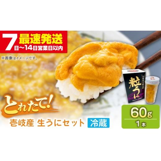 ふるさと納税 ウニ 長崎県 壱岐市 生うに(冷蔵)60g×1本 壱岐市 本尾海産