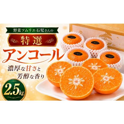 ふるさと納税 果物類 みかん 大分県 杵築市 2027年先行予約 野菜ソムリエ石児さんの「特選 アンコール 2.5kg」 / アンコール あんこーる アンコールオレンジ…