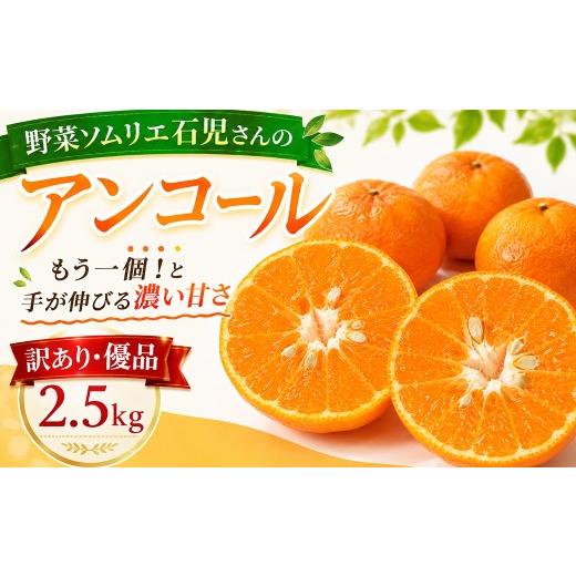 ふるさと納税 果物類 みかん 大分県 杵築市 2027年先行予約 訳あり・優品 野菜ソムリエ石児さんの「アンコール 2.5kg」 / アンコール あんこーる アンコール…