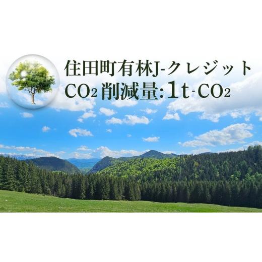 ふるさと納税 認定書・会員証 岩手県 住田町 「森林・林業日本一のまちづくり」住田町の町有林(FSC森林認証取得)J-クレジット 1t-CO2 二酸化炭素 排出削減 …