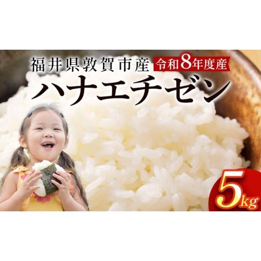 ふるさと納税 米 コシヒカリ 福井県 敦賀市 097-a010 令和8年産米 ハナエチゼン精米5kg