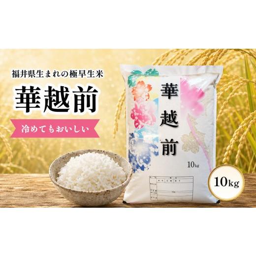 ふるさと納税 米 コシヒカリ 福井県 越前市 ＼新米/華越前 (ハナエチゼン) 10kg 令和8年度産 福井県 越前市産 期間限定販売