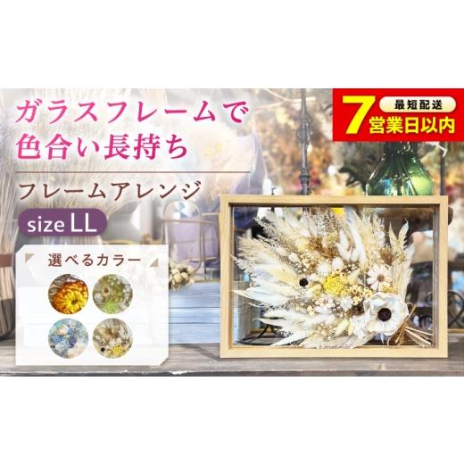 ふるさと納税 雑貨・日用品 花 広島県 福山市 選べるタイプ ドライフラワー フレームアレンジLL(選べる4タイプ) ドライフラワー お花 インテリア プリザー…