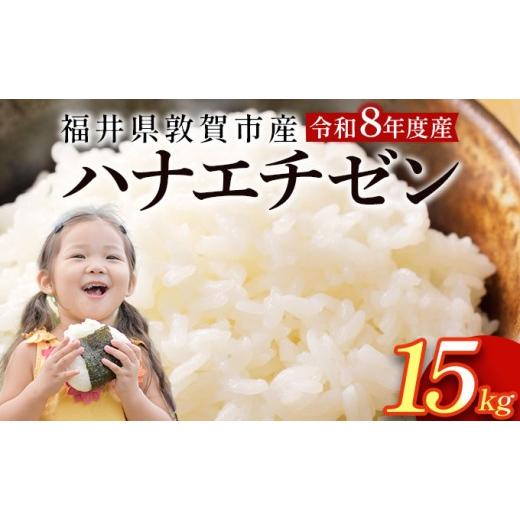 ふるさと納税 米 福井県 敦賀市 097-t3-a010 定期便 3ヶ月 令和8年産米 ハナエチゼン精米 5kg