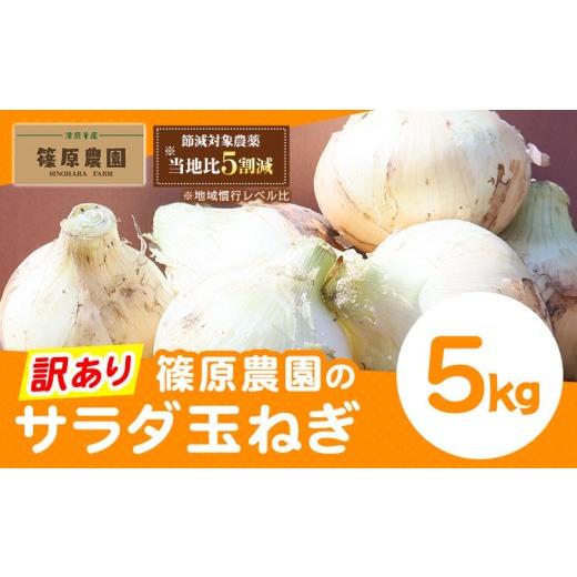 ふるさと納税 野菜類 玉ねぎ 熊本県 津奈木町 玉ねぎ 訳あり 節減対象農薬 当地比5割減 サラダ玉ねぎ (S-2Lサイズ) 5kg[3月下旬-4月下旬頃出荷予定]熊本県 …