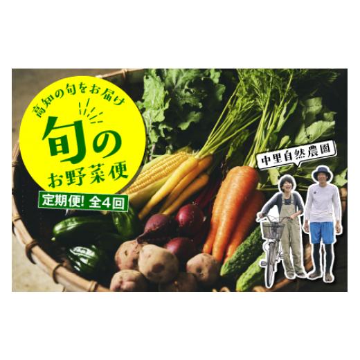 ふるさと納税 セット・詰合せ 高知県 中土佐町 定期便 4回 野菜 セット 8〜10種類 詰め合わせ 野菜詰め合わせ 野菜セット 旬野菜 野菜詰め合わせセット 春 夏…