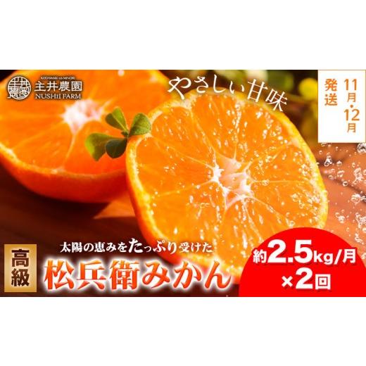 ふるさと納税 果物類 みかん 和歌山県 日高町 2回定期便 主井農園の高級松兵衛みかん 2.5kg×2回 S〜2Lサイズ(サイズおまかせ)[11月中旬-1月上旬頃出荷]主…