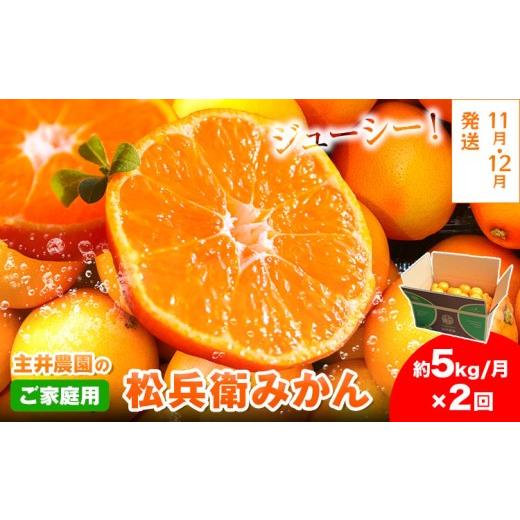 ふるさと納税 果物類 みかん 和歌山県 日高町 2回定期便 主井農園の松兵衛みかん ご家庭用 5kg×2回 2S〜2Lサイズ(サイズおまかせ)[11月中旬-2月上旬頃出荷…
