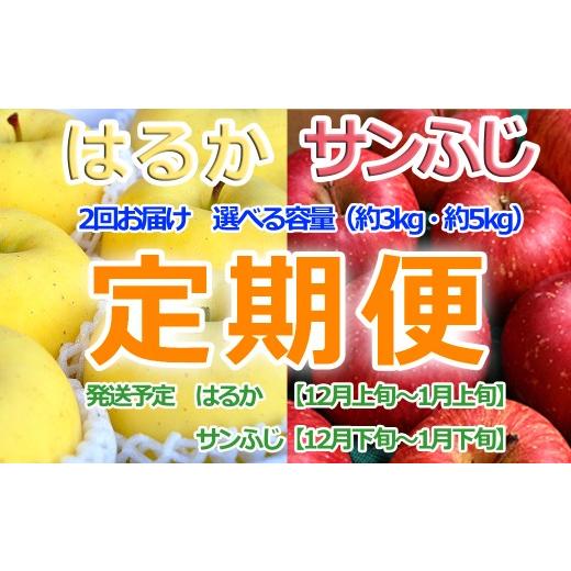 ふるさと納税 りんご 青森県 三戸町 冬のりんご はるか×サンふじ定期便(各3kg) 2026年産・先行予約 12月上旬〜1月下旬頃まで発送予定 旬のりんご 青森県…