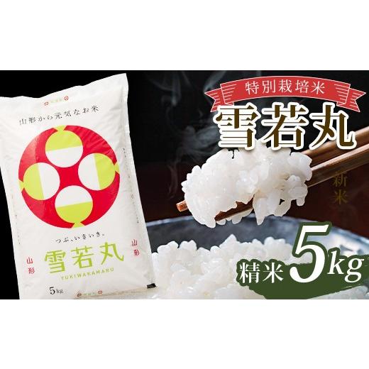 ふるさと納税 米 山形県 南陽市 令和7年産 特別栽培米 雪若丸 (精米) 5kg 山形県南陽市産 米 白米 ご飯 農家直送 山形県 南陽市 2365-A