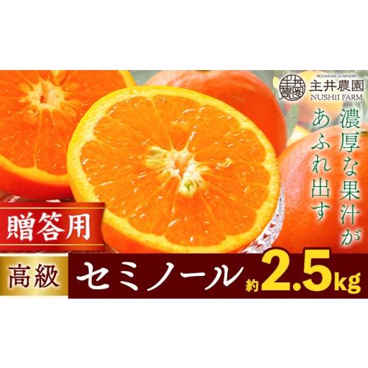 ふるさと納税 果物類 みかん 和歌山県 日高町 先行予約 柑橘 高級 セミノール 贈答用 約 2.5kg 主井農園[4月下旬-5月下旬頃出荷] 和歌山県 日高町 セミノー…