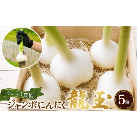 ふるさと納税 野菜類 兵庫県 川西市 ジャンボニンニク「龍玉」無臭にんにく / にんにく ガーリック 龍玉 大粒にんにく 食べ応え にんにく料理 ホイル焼き ガ…