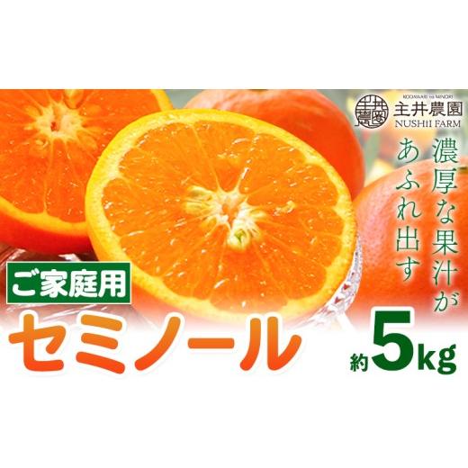 ふるさと納税 果物類 みかん 和歌山県 日高町 先行予約 柑橘 ご家庭用セミノール 約5kg 主井農園[4月下旬-5月下旬頃出荷] 和歌山県 日高町 セミノール オレ…
