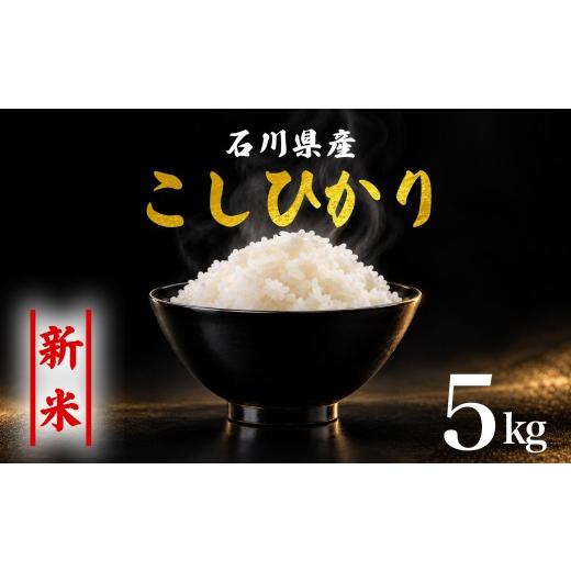 ふるさと納税 米 コシヒカリ 石川県 羽咋市 新米予約 先行予約 コシヒカリ 5kg 米 お米 精米 石川県産 令和8年産 1袋 能登 こしひかり こだわり 石川県産 環境…