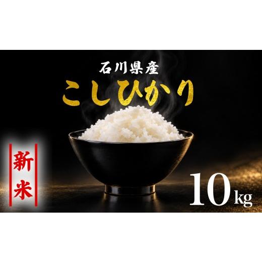 ふるさと納税 米 コシヒカリ 石川県 羽咋市 新米予約 先行予約 コシヒカリ 米 10kg お米 精米 石川県産 令和8年産 新米 10kg(5kg×2袋) 能登 こしひかり こだ…