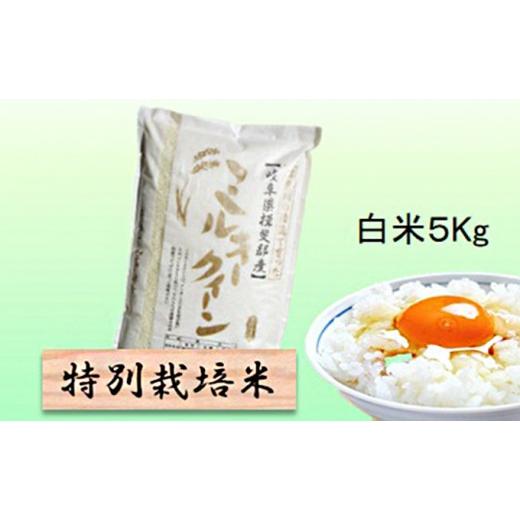 ふるさと納税 米 ミルキークイーン 岐阜県 池田町 特別栽培米 令和8年産 白米 5kg ミルキークイーン