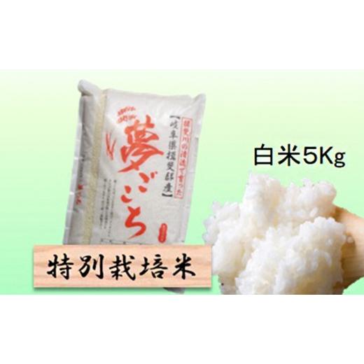 ふるさと納税 米 岐阜県 池田町 特別栽培米 令和8年産 白米 5kg 夢ごこち